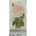 1914 Wills Roses 2nd Series No. 60 Prince de Bu...