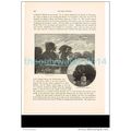 Fawley Court & Regatta Island, Henley, Berkshir...