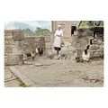 ptc4729 - Yorks. - Milk Maid in the Yard, Toby ...