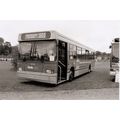Black & White Photograph of Luton & District Tr...