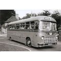 Black & White Photo of Burton’s of Brixham (J. ...