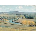 Moet & Chandon Postcard La Marne Vue de nos Vig...