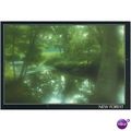 GB Postcard - New Forest - Hampshire, Misty View