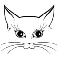 CAT KITTEN KITTY face & eyes vinyl decal / sticker