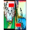 Down The Emperors Road With Hiroshige