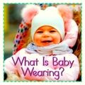 What Is Baby Wearing by Flowerpot Press