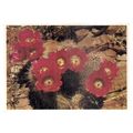 STRAWBERRY HEDGEHOG CACTUS, vintage unused post...