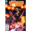 New Suicide Squad (Vol 1) # 017 NM MODERN AGE C...
