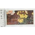 Vintage: Dutch card Jac. P. Thijsse, Lente No. ...