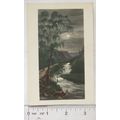 vintage Postcard Borrowdale, The Birches