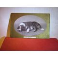 'tired out', DOG used antique postcard RP=