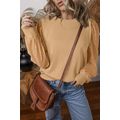 Pale Khaki Solid Patchwork Sleeve Round Neck Sw...