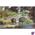 GB Postcard - The River Bray, Shallowford, Devon