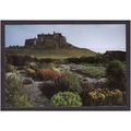 NORTHUMBERLAND POST CARD - LINDISFARNE CASTLE- ...