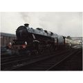 Railway Postcard LMS Black 5 5231 PETERBOROUGH ...