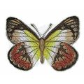 Scarlet Jezebel butterfly Embroidered Iron On/S...