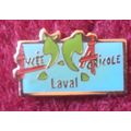 Pin Badge, Metal & Enamel: Lycee Agricole, Laval