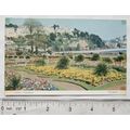 1950 postcard Abbey Gardens, Torquay