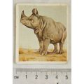 1936 Godfrey Phillips Animal Studies No. 2 Indi...