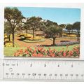 old postcard Tore Abbey Gardens, Torquay