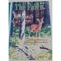 The Fawn by keiko hashimoto scott foresman K.3....