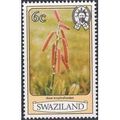 Swaziland 1980 Flowers 6c Aloe Kniphofioides Un...