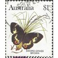 AUSTRALIA, BUTTERFLY, Sword Grass Brown, brown ...