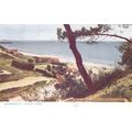 Bournemouth Durley Chine Postcard (DOR76364)