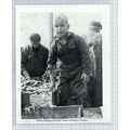 (5459) Sorting Fish At Hythe Quay Colchester Es...