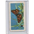 1965 Brooke Bond Tea Album # 48 - Butterflies o...