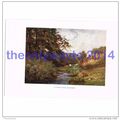 Stream near Shalford, Surrey, England, Book Ill...
