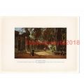 Botanic Gardens, Oxford, Book Illustration (Pri...
