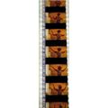 Pk GEB - M - MIX - b 031E . 1 STRIP OF 5 - 35MM...