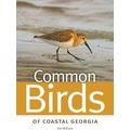 Common Birds Of Coastal Georgia