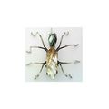 Abalone Shell Spider Stainless Wire Wrap Pin Br...