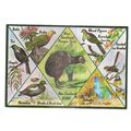 BIRDS & FAUNA OF NEW ZEALAND. multiview. unused...
