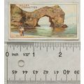 1928 Wills Wonders of the Sea No. 47 A Natural ...