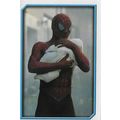 Merlin's Spider-Man (2002) Sticker Collection -...