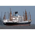 SQ0928 - Blue Funnel Cargo Ship - Rhexenor , bu...