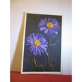 ASTER ALPINUS, flowers swiss used postcard 1955...