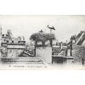 67 - Strasbourg - un nid de cigognes