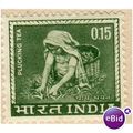 India 1965 - SG 510 - Tea Picking 15p MH