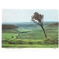 THE HOLE OF HORCUM, SALTERSGATE, YORKSHIRE vint...