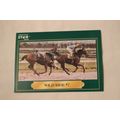 Wild Ride #7 1991 Jockey Star NO. 219