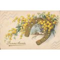 PC22232 Greeting Postcard. Bonne Annee. Horseshoe