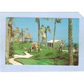 New Jersey Long Branch Miniature Golf Course~1559