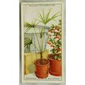 1936 Wills Household Hints 36 Keeping Plants Wa...