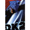 Batman: The Dark Knight Strikes Again (2001 Ltd...