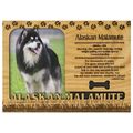 Alaskan Malamute Engraved Wood Picture Frame Ma...