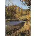 Postcard Borrowdale near Grange, Lake District,...
